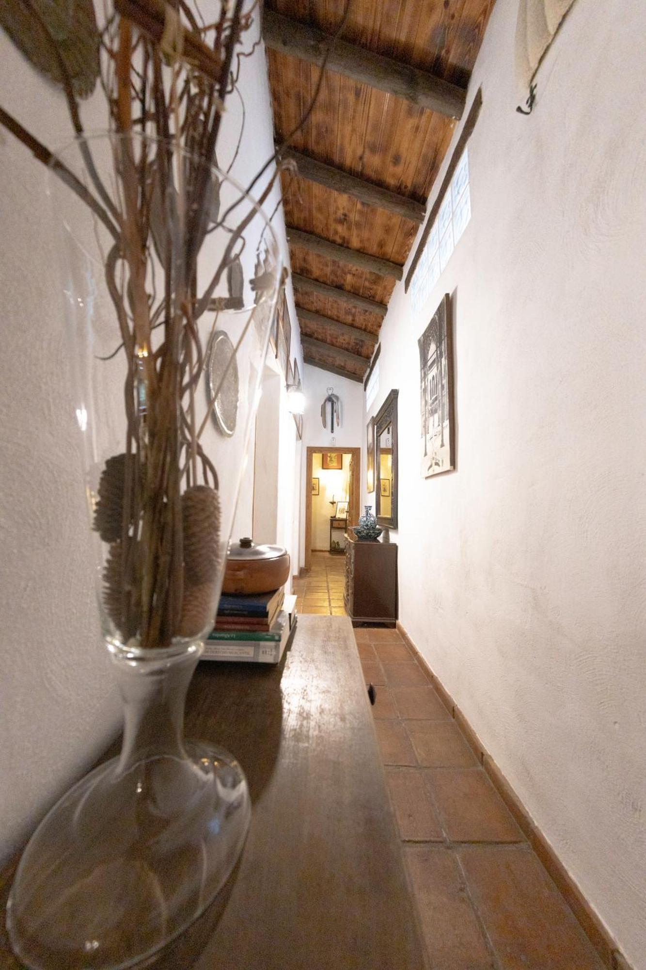 La Cuadra, Finca A Los Pies De Sierra Nevada, A 10 Minutos Del Centro, Piscina, Jardin, Barbacoa La Zubia  Exterior photo