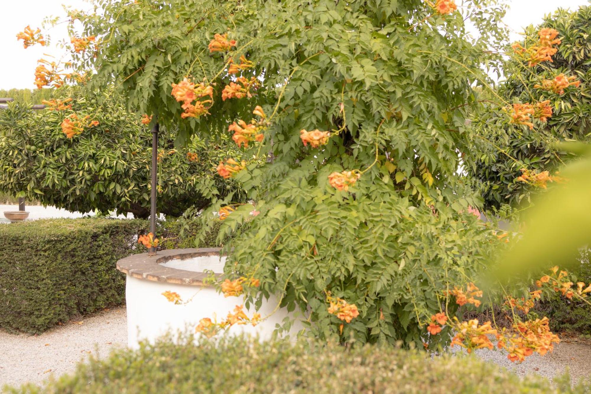 La Cuadra, Finca A Los Pies De Sierra Nevada, A 10 Minutos Del Centro, Piscina, Jardin, Barbacoa La Zubia  Exterior photo