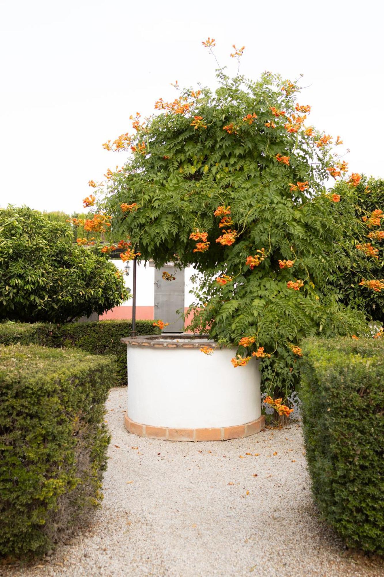 La Cuadra, Finca A Los Pies De Sierra Nevada, A 10 Minutos Del Centro, Piscina, Jardin, Barbacoa La Zubia  Exterior photo